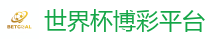 2026世界杯在线投注官网